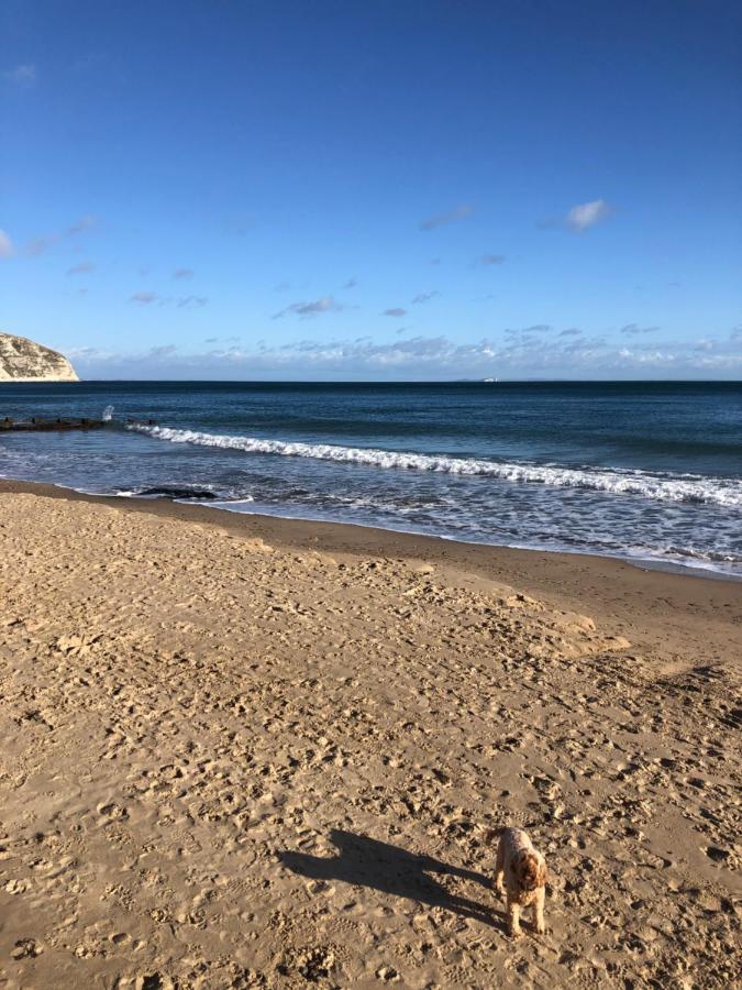 Apartamento Purbeck Hill View Swanage Exterior foto